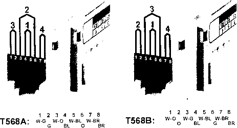      T568A  T568B