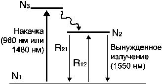     EDFA