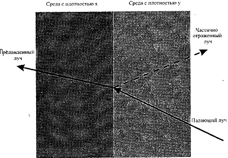 ����������� �����������